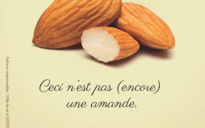 Le 29 mars : retour de la campagne de sensibilisation « Amandes, amendes »