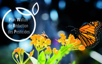 PLAN WALLON DE RÉDUCTION DES PESTICIDES (PWRP) | UNE ENQUÊTE PUBLIQUE EN COURS > 20.03
