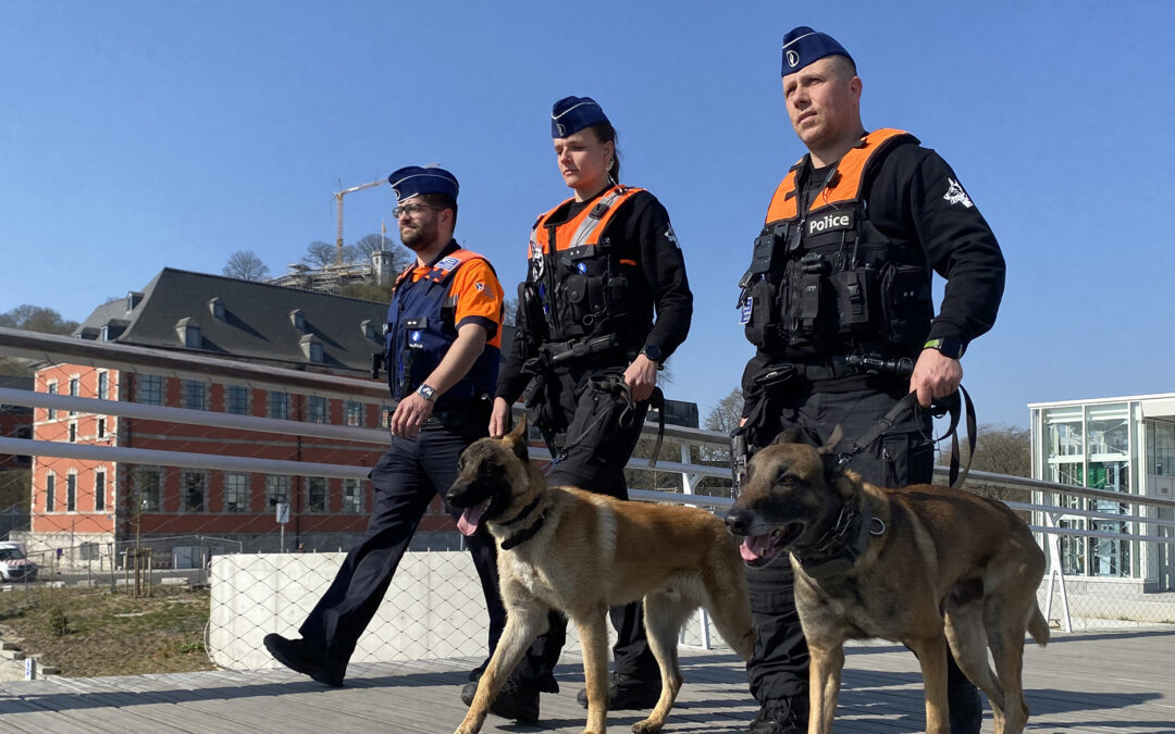 Renforcer Le Sentiment De Sécurité Des Citoyens Cj117 2022