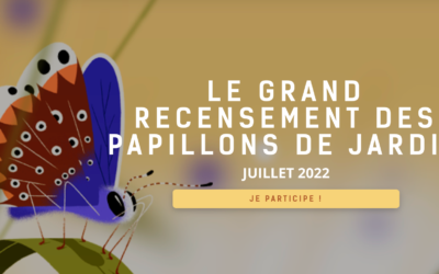 LE GRAND RECENSEMENT DES PAPILLONS DE JARDIN I NATAGORA LANCE L’APPELLE AUX CITOYENS  !