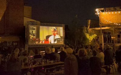 RAPPEL I SOIRÉE PLEIN AIR (CINÉMA, CONCERT ET JAM PERCUSSIONS ) QUARTIER DU PETIT RY / PARC D’AMÉE