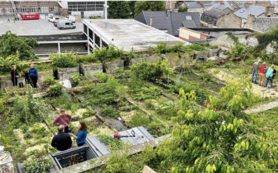 BON À SAVOIR I APPEL À POTAGISTES POUR OUVRIR LEUR JARDIN !