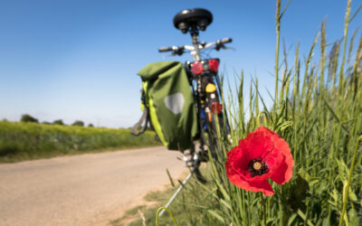 BON A SAVOIR I ACTIVITE AUTOUR DU VELO