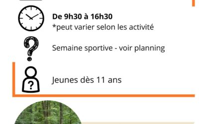 LES STAGES I de la Mja Amée