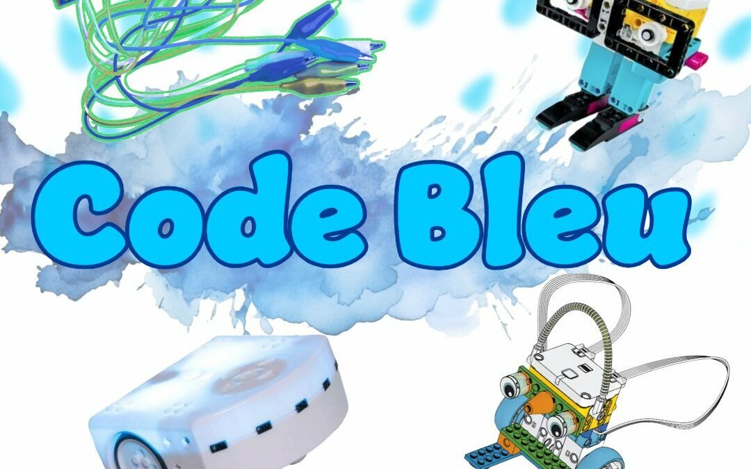 STAGE Code Bleu – du 11 au 14 aout 2025
