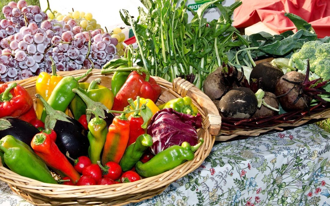CYCLES D’ECHANGES ET de rencontres autour d’une alimentation « saine » par Nature & Progrès Belgique