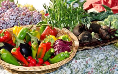 CYCLES D’ECHANGES ET de rencontres autour d’une alimentation « saine » par Nature & Progrès Belgique