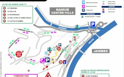 Campagne de dératisation à Namur