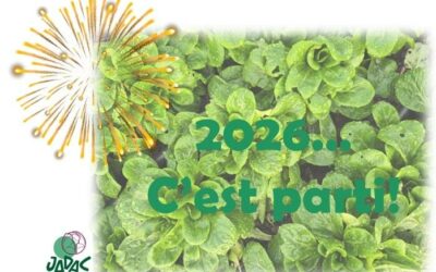 Le premier marché de l’année chez JADAC