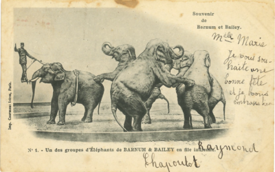Vingt éléphants rue de Dave CJ133 T2-2026