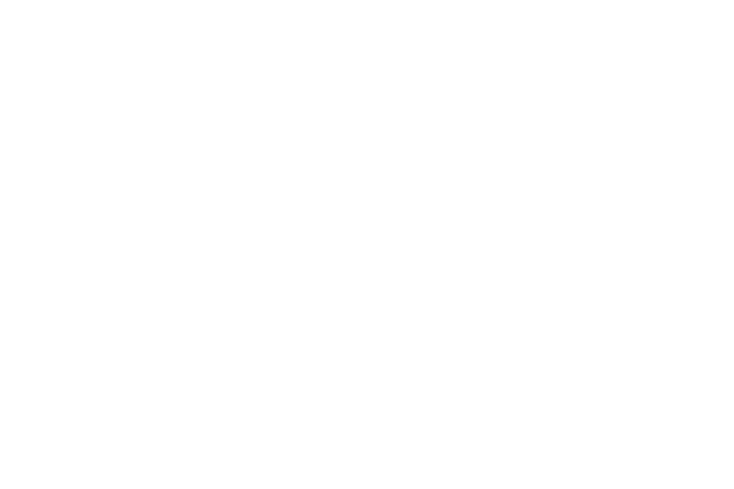 Z5100 négatif